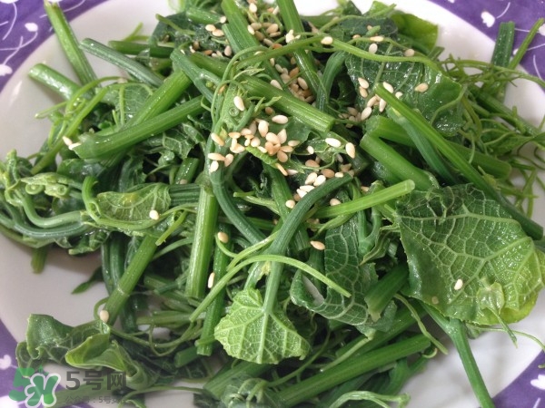 龍須菜怎么清洗？龍須菜怎么處理？
