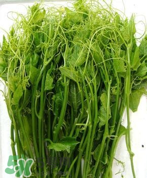 龍須菜有幾種？龍須菜多少錢(qián)一斤？