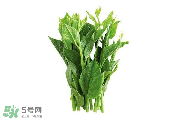 龍須菜有幾種？龍須菜多少錢(qián)一斤？