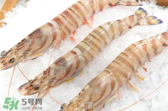 竹節(jié)蝦是海里的嗎？竹節(jié)蝦是海蝦還是河蝦