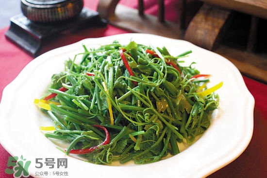 龍須菜是什么菜？龍須菜怎么吃？