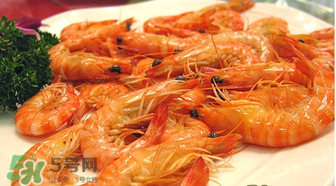 九節(jié)蝦為什么那么貴？九節(jié)蝦不能和什么一起吃？