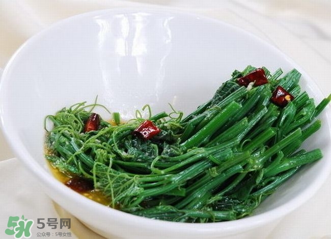 龍須菜是什么菜？龍須菜怎么吃？