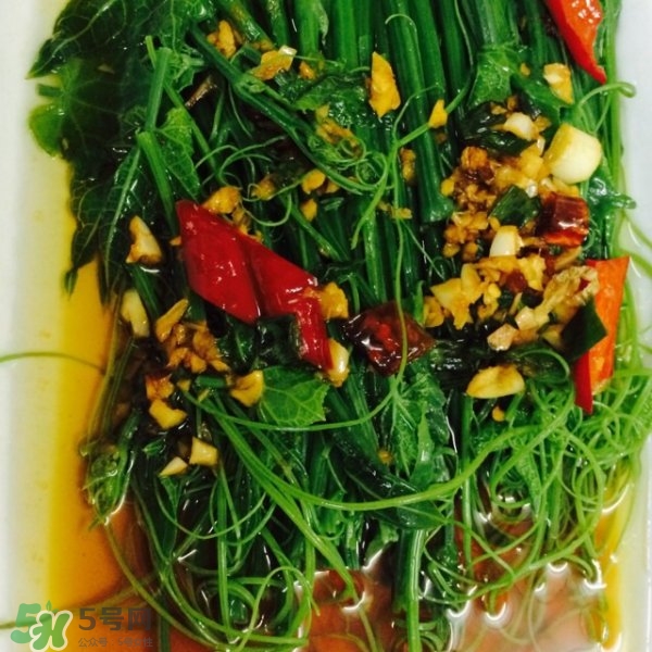 龍須菜怎么清洗？龍須菜怎么處理？