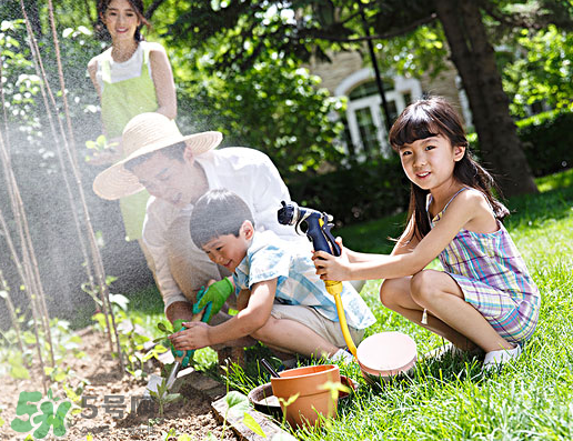 八月份可以種什么菜？八月份適合種植的蔬菜