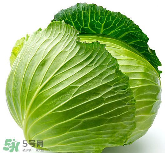 8月份吃什么蔬菜？八月份適合吃什么蔬菜？