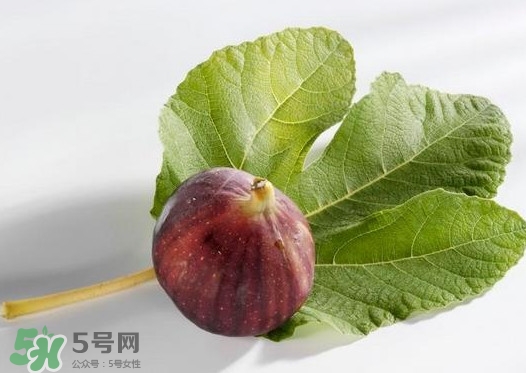 無(wú)花果葉子煮水有什么作用？無(wú)花果葉泡水喝的功效