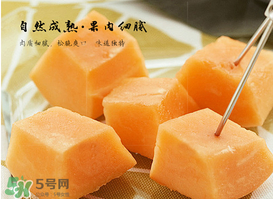 西州蜜瓜什么季節(jié)熟？西州蜜瓜幾月份成熟？
