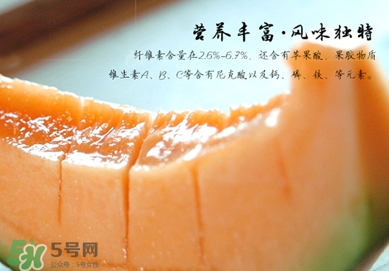 西州蜜瓜什么季節(jié)熟？西州蜜瓜幾月份成熟？