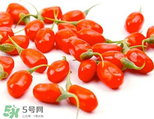 枸杞鮮果能吃嗎？鮮枸杞好還是干枸杞好
