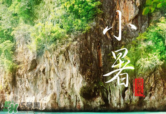 小暑是入伏嗎？小暑是不是入伏？