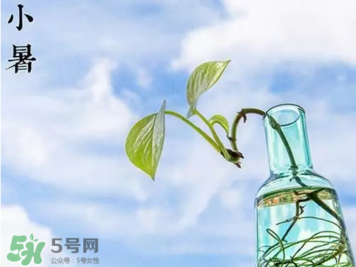 小暑是頭伏嗎？小暑是初伏嗎？