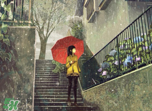 2017年小暑會(huì)下雨嗎？小暑這一天下雨好嗎？