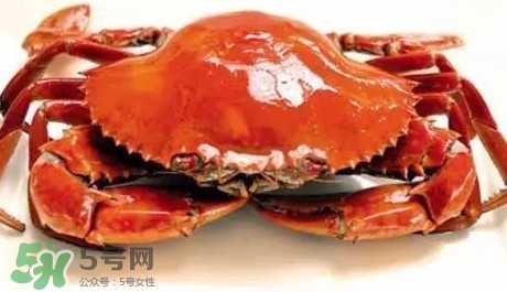 石夾紅螃蟹什么時(shí)候有？石夾紅螃蟹什么時(shí)候最肥