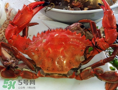 石夾紅螃蟹怎么吃？石夾紅螃蟹煮多久