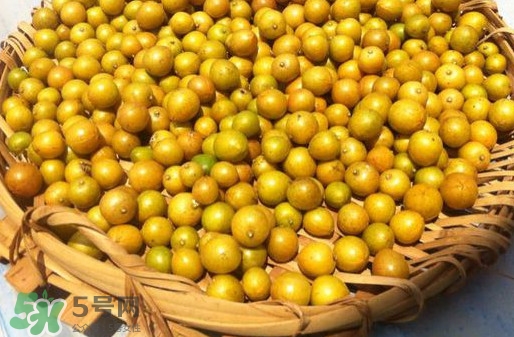 黃皮果是小金橘嗎？黃皮果和小金橘的區(qū)別