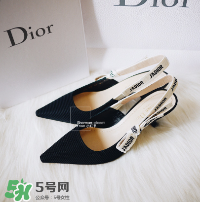dior貓跟鞋多少錢？dior貓跟鞋價格