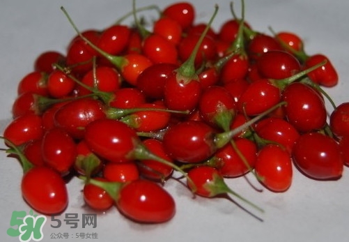 枸杞鮮果怎么吃？吃枸杞鮮果有什么好處