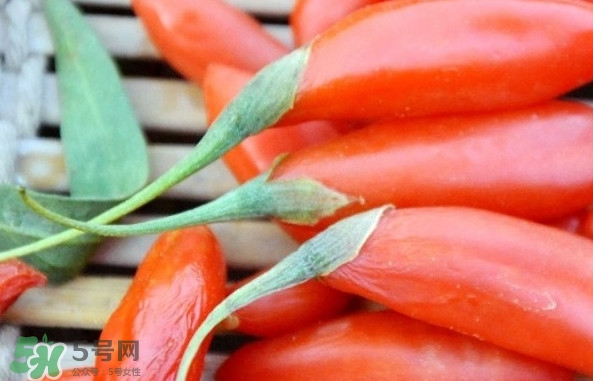 青海和寧夏枸杞哪個好？青海枸杞和寧夏枸杞的區(qū)別