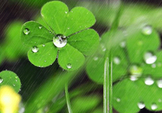 2017年小暑會下雨嗎？小暑這一天下雨好嗎？