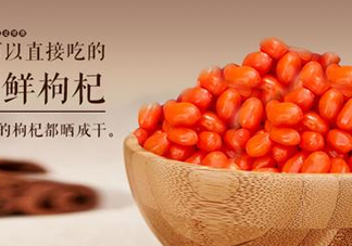 枸杞鮮果能吃嗎？鮮枸杞好還是干枸杞好