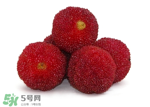 新鮮楊梅怎么保存得更長時間？新鮮楊梅能保存幾天？