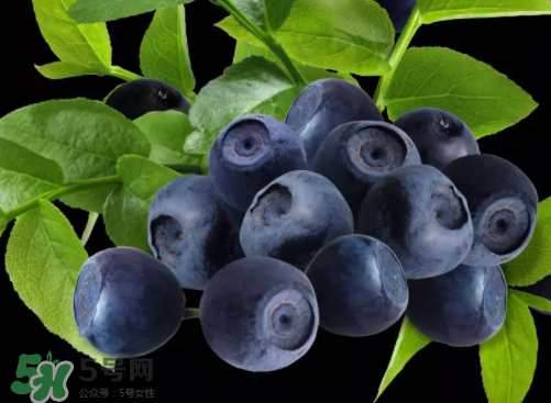 新鮮藍(lán)莓可以直接吃嗎？新鮮藍(lán)莓怎么吃才好吃？