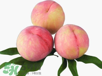 脆桃有什么營養(yǎng)？脆桃的營養(yǎng)價值