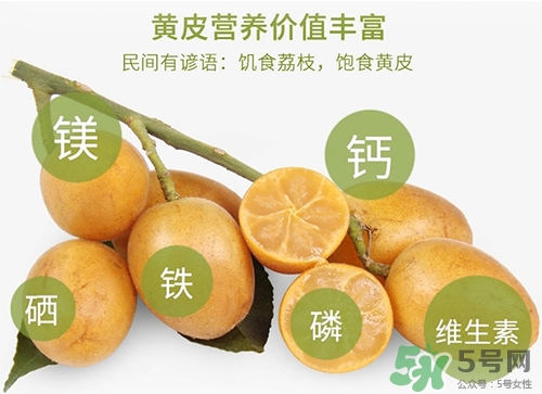 孕婦可以吃黃皮嗎？孕婦吃黃皮有什么好處