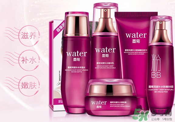 一枝春是什么牌子？一枝春化妝品怎么樣