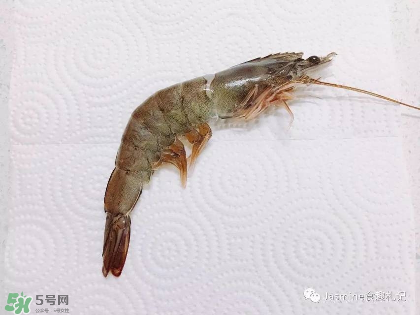 活基圍蝦怎么保存？活基圍蝦怎么處理干凈？