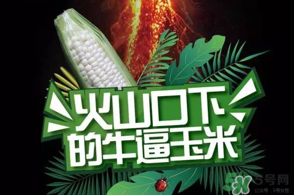 微玉冰糖玉米小孩可以吃嗎？微玉冰糖玉米營養(yǎng)豐富嗎？