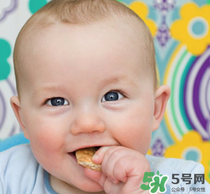 磨牙餅干吃不完怎么辦？磨牙餅干吃到多大？