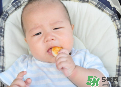 磨牙餅干吃不完怎么辦？磨牙餅干吃到多大？