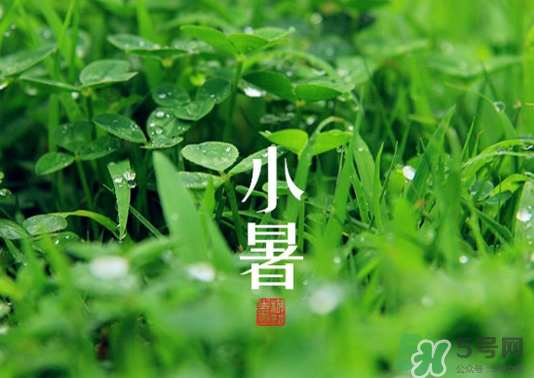 小暑種什么菜？小暑為什么要種牽?；ǎ?></p><p>番茄</p><p>如大番茄，櫻桃番茄。</p><p>黃圣果</p><p>在7月中至8月上旬用營養(yǎng)土播種育苗。播后加蓋遮陽網(wǎng)。</p><p>茄子</p><p>7月上中旬及時定植。</p><p>辣椒</p><p>辣椒于上中旬.在7月中旬至8月上旬用營養(yǎng)土播種、遮陽網(wǎng)覆蓋育苗。</p><p style=