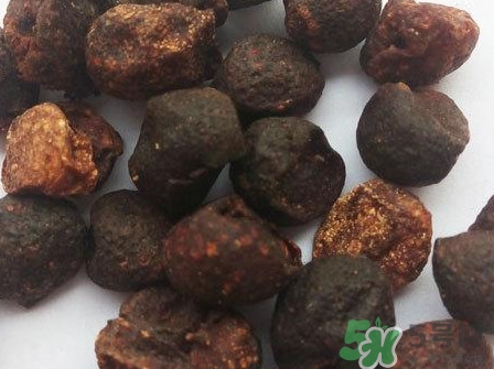 山黃皮的功效是什么？山黃皮的功效與作用