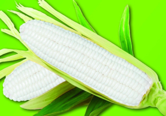 白玉米煮后變黃能吃嗎？白玉米為什么變黃了？