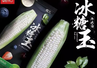 冰糖玉米?是轉(zhuǎn)基因嗎？冰糖玉米多少錢一斤？