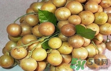 山黃皮怎么做好吃？山黃皮有什么藥用價(jià)值