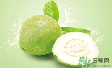 產婦可以吃番石榴嗎？坐月子可以吃番石榴嗎？