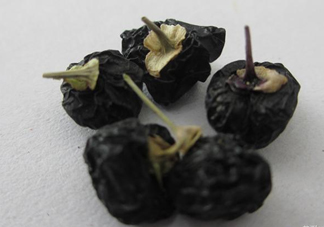 黑枸杞可以和菊花一起喝嗎？菊花和黑枸杞一起喝好嗎