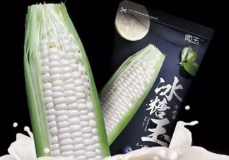 微玉冰糖玉米可以生吃嗎？微玉冰糖玉米安全嗎？