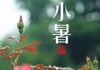 小暑種什么菜？小暑為什么要種牽牛花？