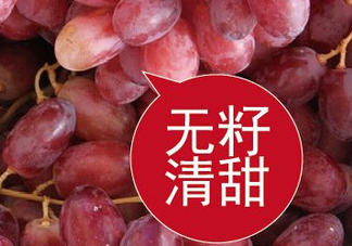 ?無籽紅提?孕婦能吃嗎吃嗎？孕婦能不能吃無籽紅提？