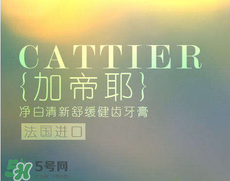 cattier加帝耶是什么牌子？法國cattier什么檔次？