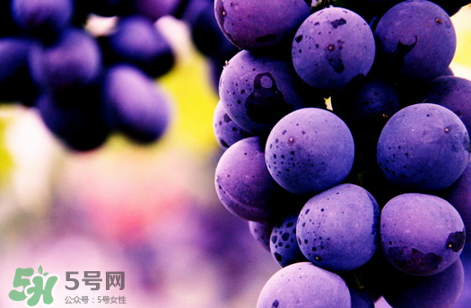 夏黑葡萄多少錢一斤？夏黑葡萄怎么挑選？