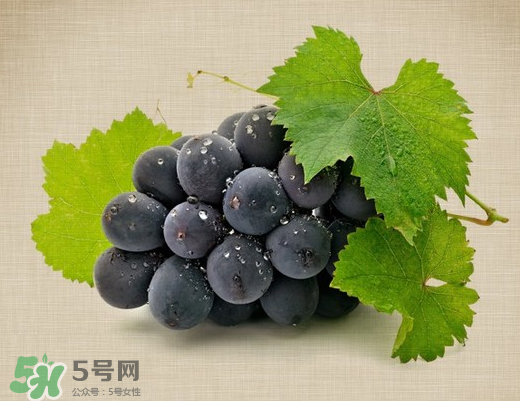 夏黑葡萄多少錢一斤？夏黑葡萄怎么挑選？