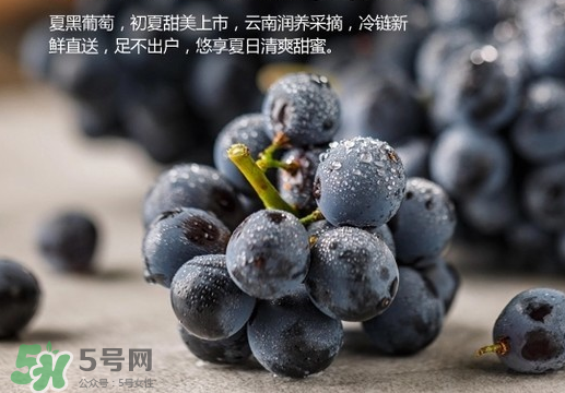 夏黑葡萄皮能吃嗎？夏黑葡萄怎么吃？