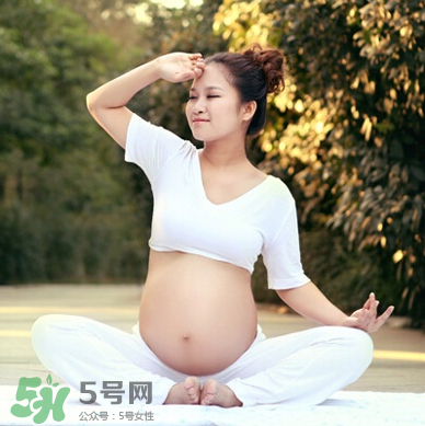 孕婦可以吃竹葉菜嗎？竹葉菜孕婦可以吃嗎？