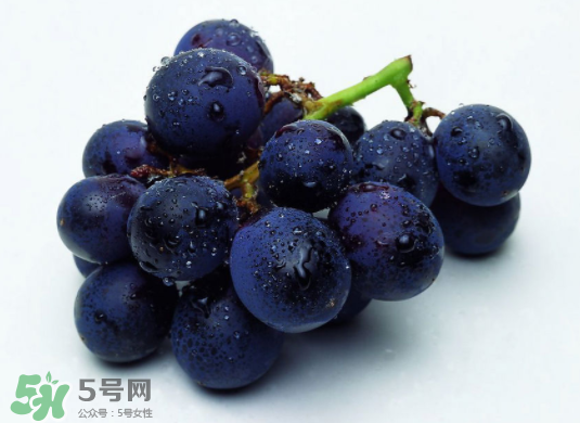巨峰葡萄和葡萄有什么區(qū)別？巨峰葡萄是轉(zhuǎn)基因的嗎？